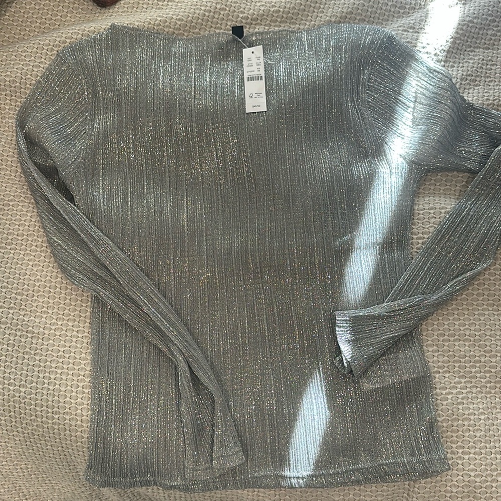 Sparkly Metallic Silver Long Sleeve Sheer Top